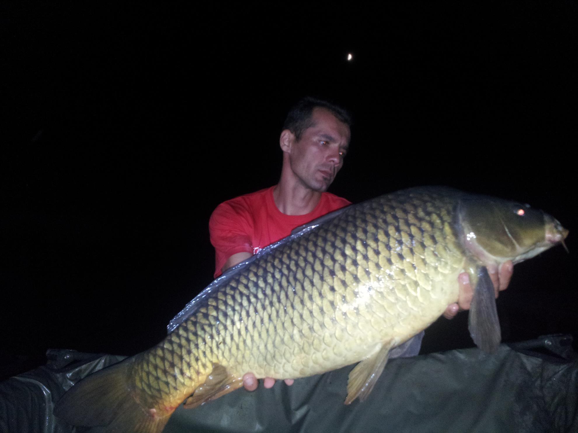 Tancabesti 31 aug- 7 sep  - 20140902210443.jpg